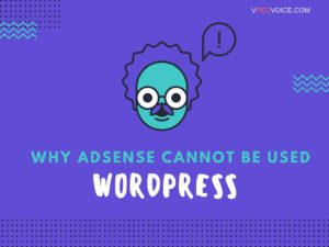 wordpress adsense (1)