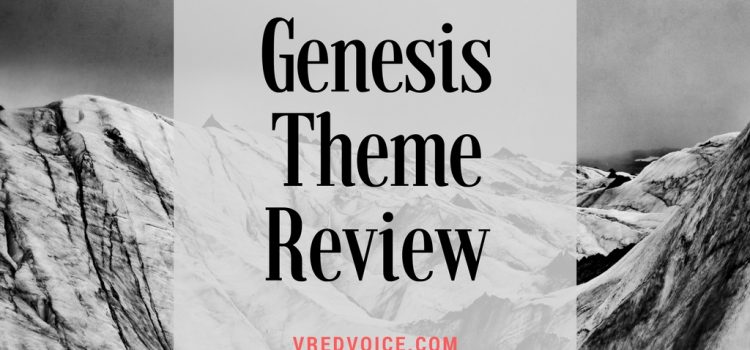 Genesis Theme Review with 6 Pros and 2 Cons